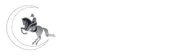 Global IT Finest